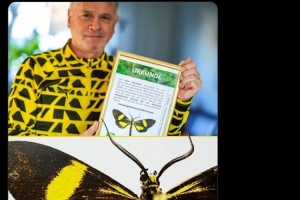 多特球迷在秘鲁雨林发现蝴蝶新物种，将其命名为“多特蒙德蝶”