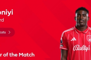 vamos