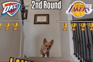 vamos