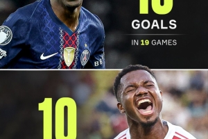 vamos