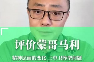 孤胆英雄！杨晨亲述当年自己留洋德甲时遭遇的几大困难